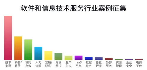 軟件和信息技術服務行業最佳案例 卓越信息技術咨詢服務的實踐與典范